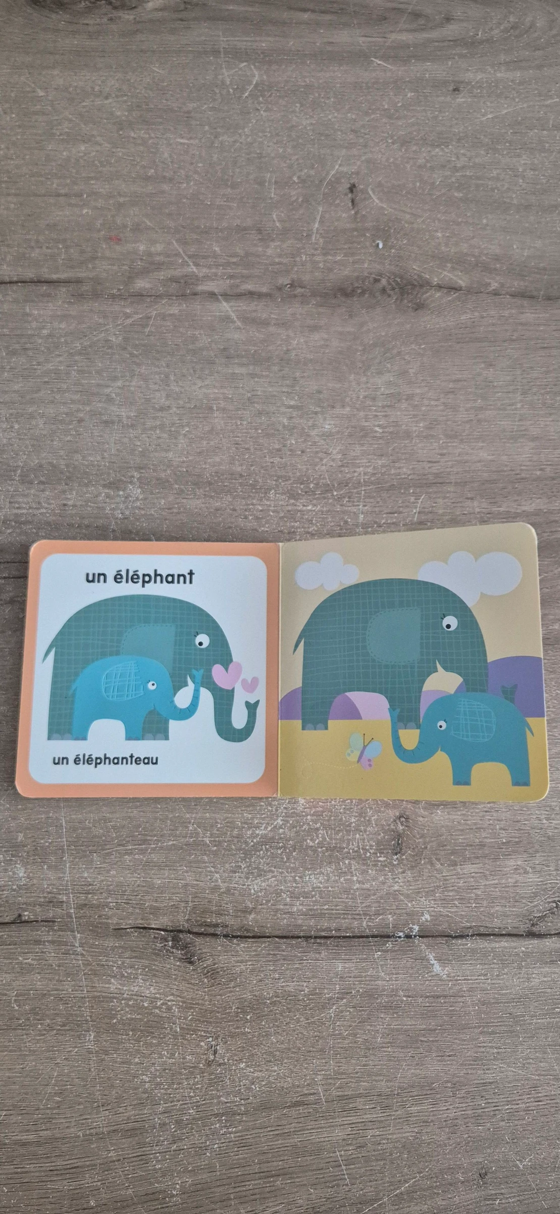 Libro Madres y bebés animales – photo 10
